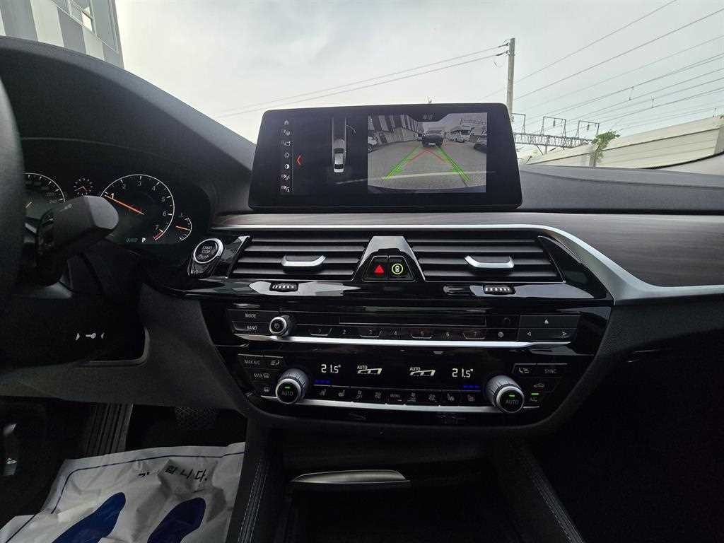 BMW 5시리즈 5시리즈 (G30) 530i 럭셔리 플러스 이미지 10