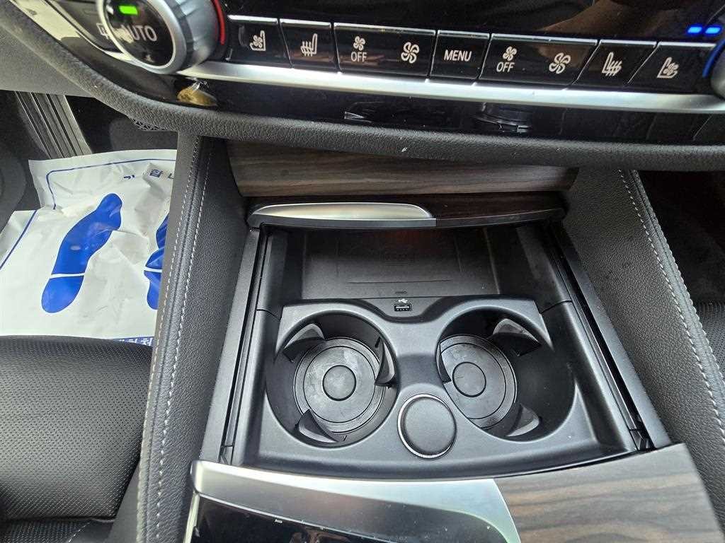 BMW 5시리즈 5시리즈 (G30) 530i 럭셔리 플러스 이미지 12