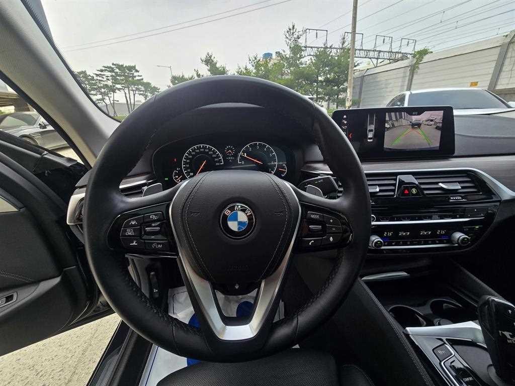 BMW 5시리즈 5시리즈 (G30) 530i 럭셔리 플러스 이미지 13