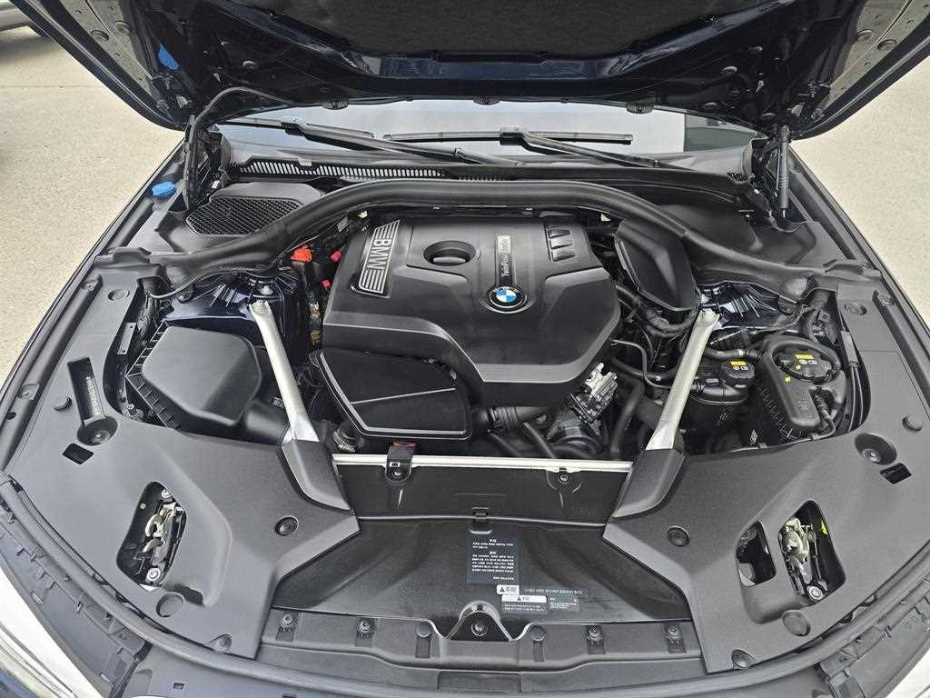 BMW 5시리즈 5시리즈 (G30) 530i 럭셔리 플러스 이미지 15