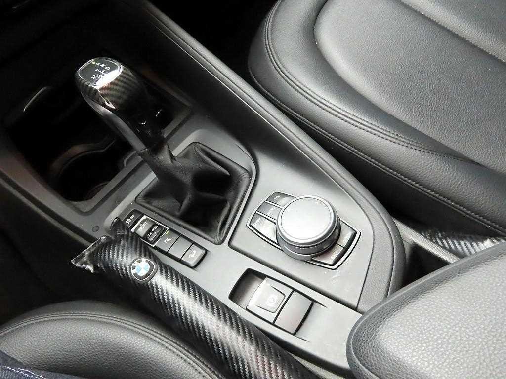 BMW X1 X1 (F48) xDrive 18d 이미지 10