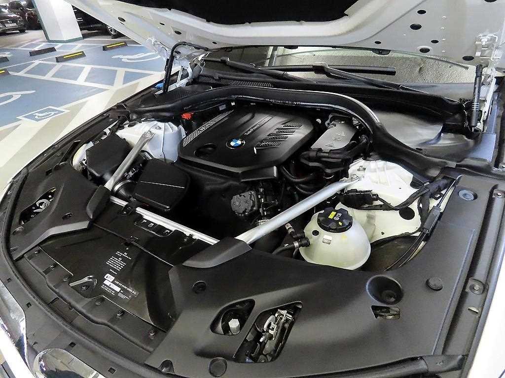 BMW 5시리즈 5시리즈 (G30) 520d M 스포츠 플러스 이미지 19