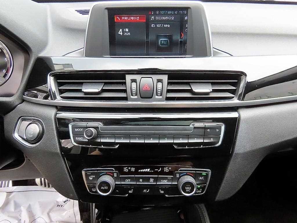 BMW X1 X1 (F48) xDrive 20d xLine 이미지 12