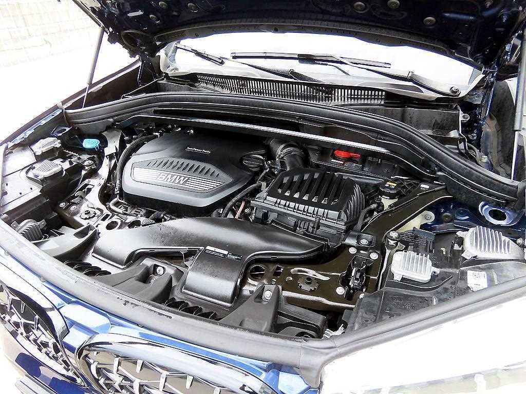 BMW X1 X1 (F48) xDrive 20d xLine 이미지 19