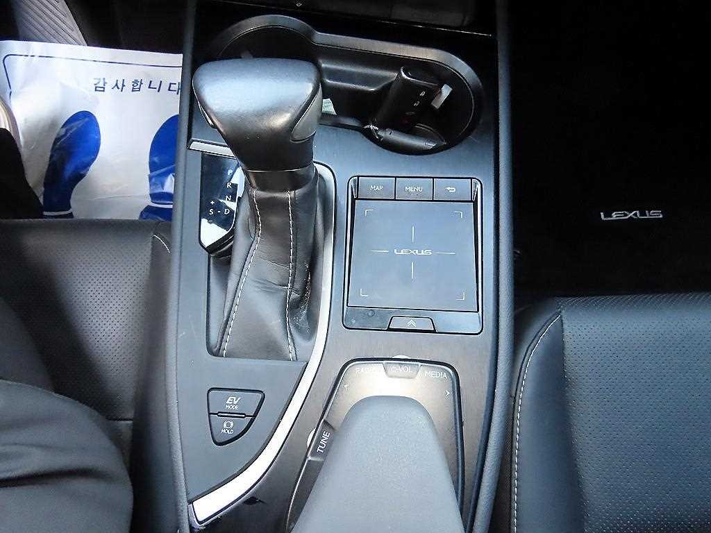 렉서스 UX UX 250h 2.0 AWD 이미지 10