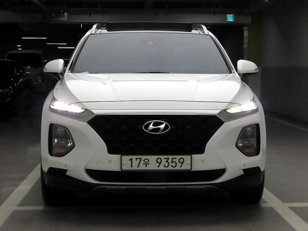 현대 싼타페 싼타페 TM 디젤 2.2 4WD 익스클루시브 이미지 1