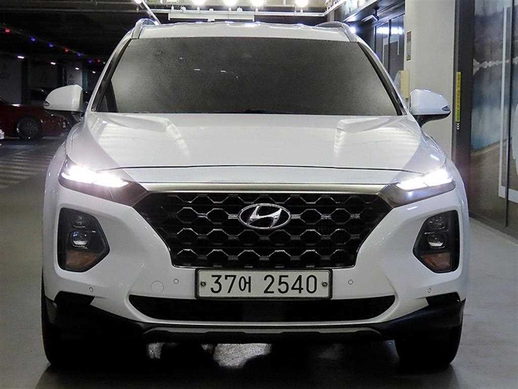 현대 싼타페 싼타페 TM 디젤 2.2 2WD 프레스티지 이미지 2