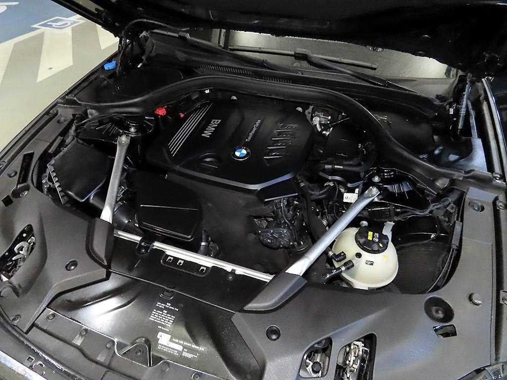 BMW 5시리즈 5시리즈 (G30) 520d 럭셔리 스페셜 에디션 이미지 19