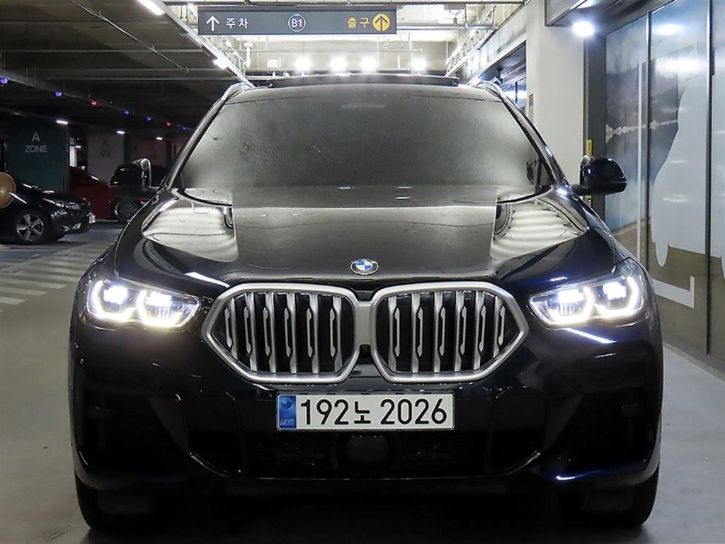 BMW X6 X6 (G06) xDrive 30d M 스포츠 이미지 2