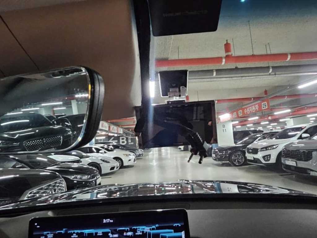 제네시스 GV80 가솔린 2.5T AWD 이미지 10