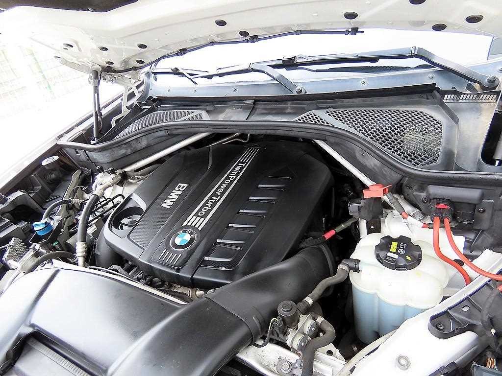 BMW X6 X6 (F16) xDrive 40d 이미지 19