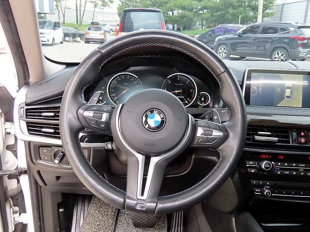 BMW X6 X6 (F16) xDrive 40d 이미지 8
