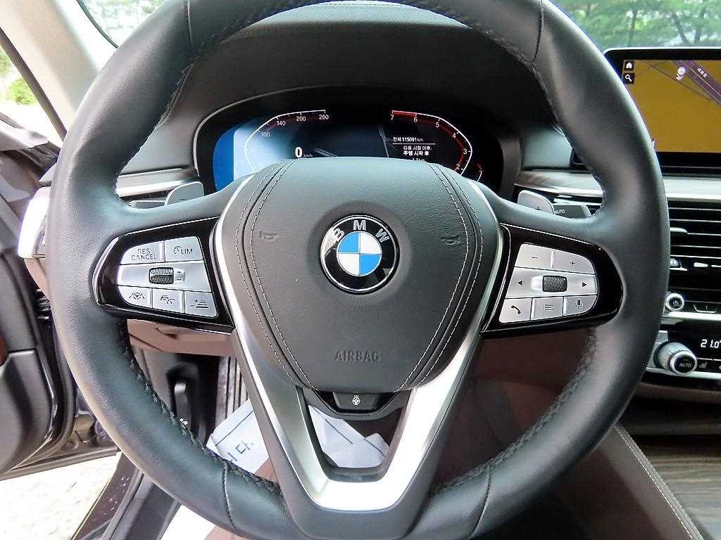 BMW 5시리즈 5시리즈 (G30) 530i 럭셔리 플러스 이미지 8