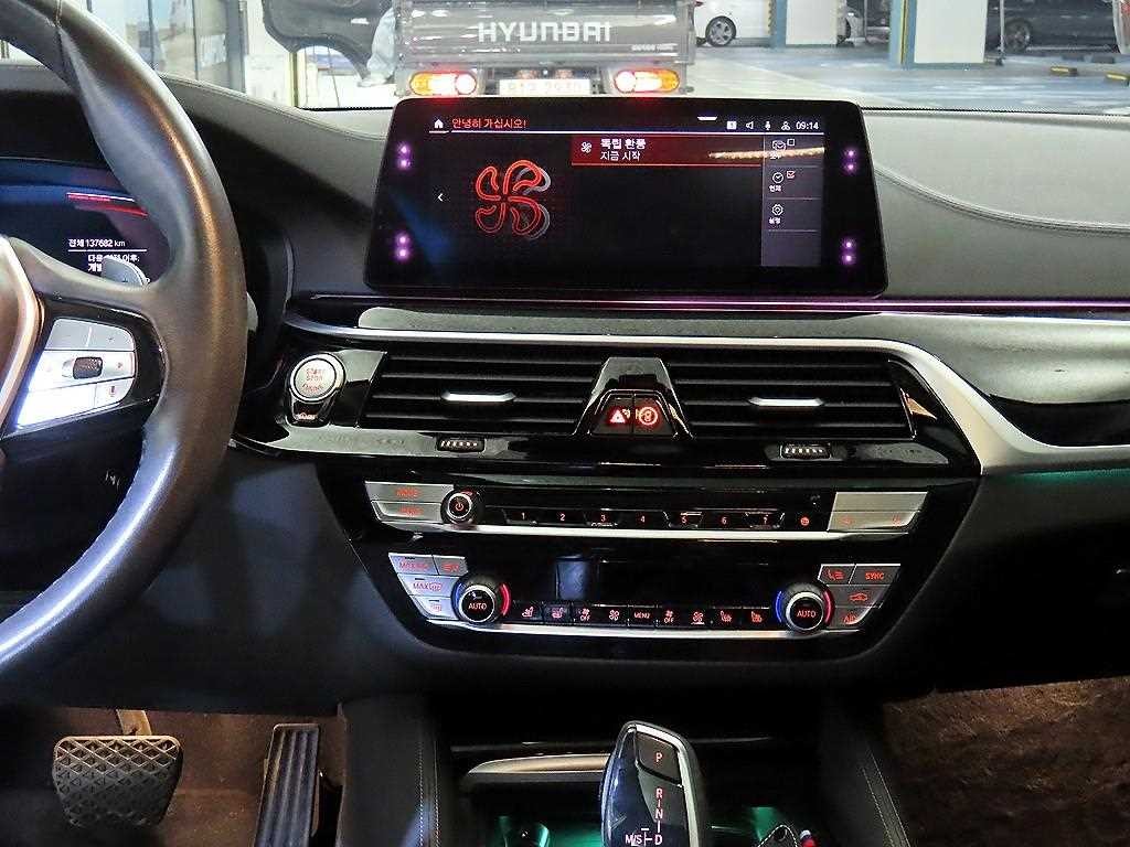 BMW 5시리즈 5시리즈 (G30) 530i M 스포츠 플러스 이미지 11