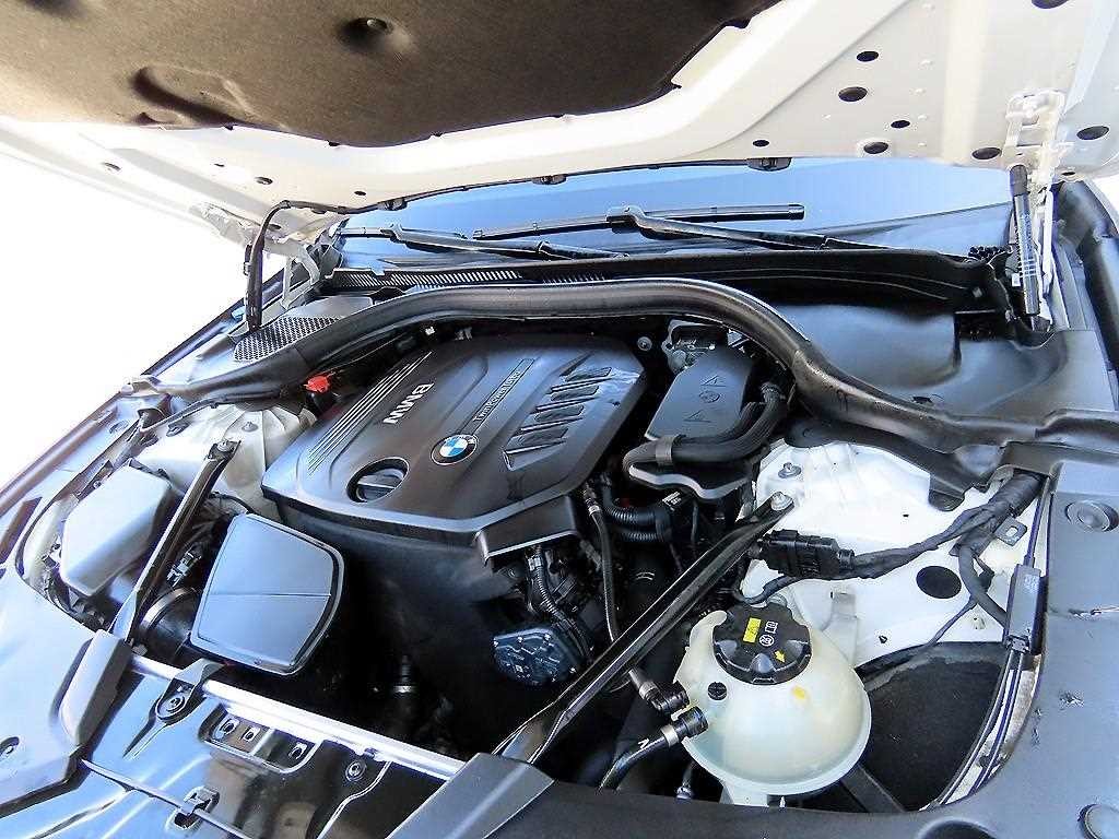 BMW 5시리즈 5시리즈 (G30) 520d xDrive M 스포츠 플러스 이미지 19