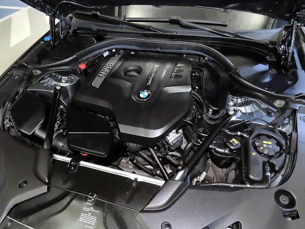 BMW 5시리즈 5시리즈 (G30) 530i M 스포츠 플러스 이미지 19