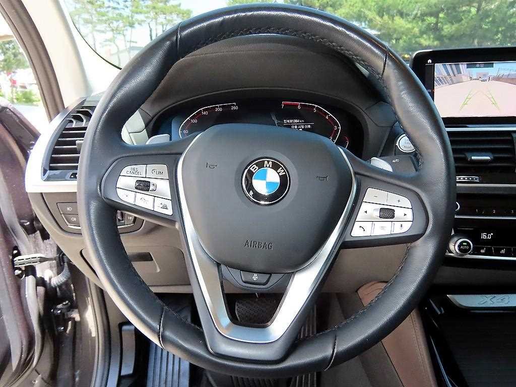BMW X4 X4 (G02) xDrive 20i xLine 이미지 8