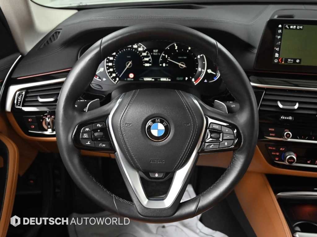 BMW 5시리즈 5시리즈 (G30) 520d 럭셔리 스페셜 에디션 이미지 13
