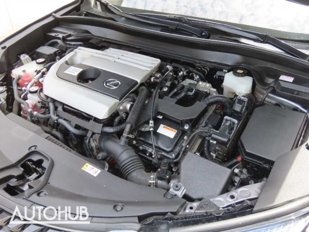 렉서스 UX UX 250h 2.0 AWD 이미지 5
