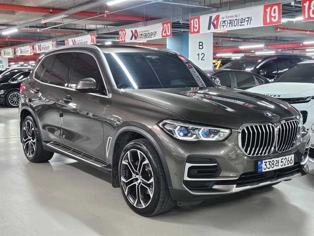 BMW X5 X5 (G05) xDrive 30d xLine 이미지 1