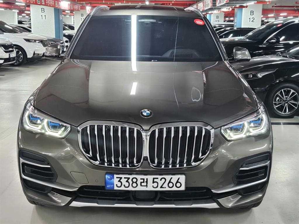 BMW X5 X5 (G05) xDrive 30d xLine 이미지 2