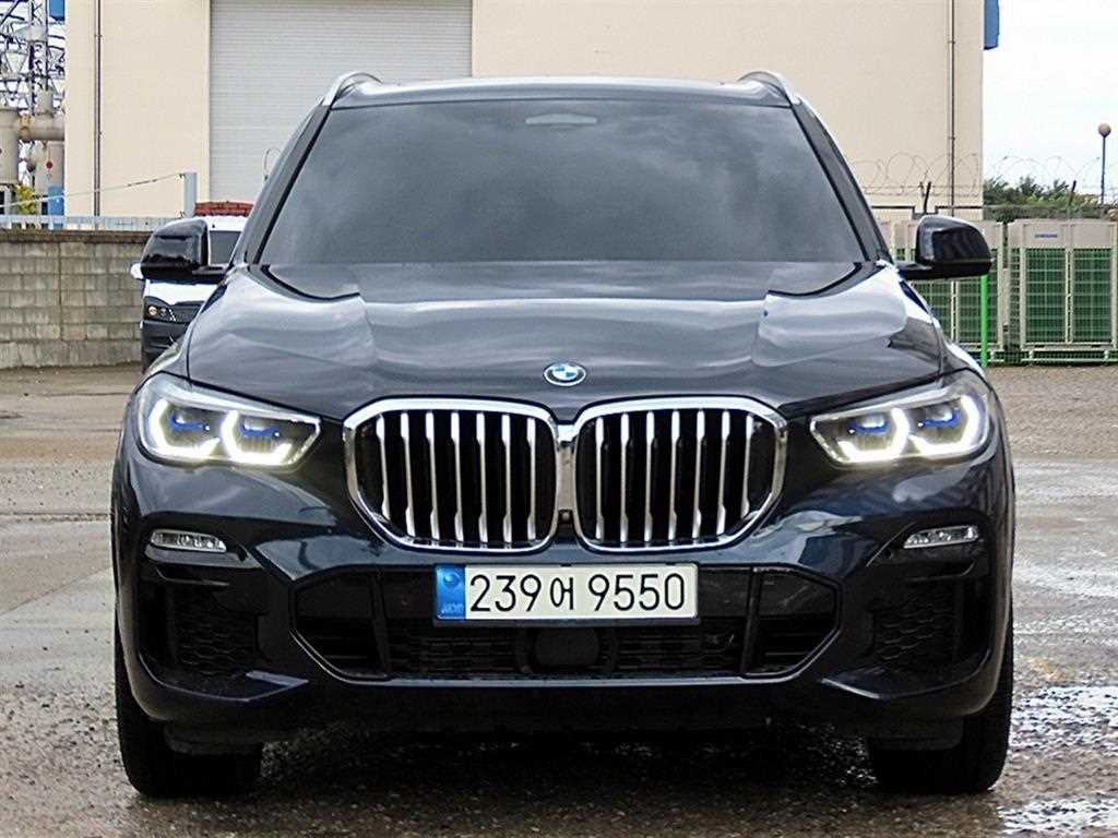 BMW X5 X5 (G05) xDrive 40i M 스포츠 이미지 1