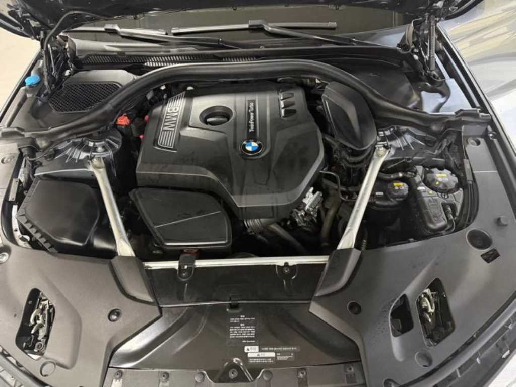 BMW 5시리즈 5시리즈 (G30) 530i M 스포츠 플러스 이미지 19
