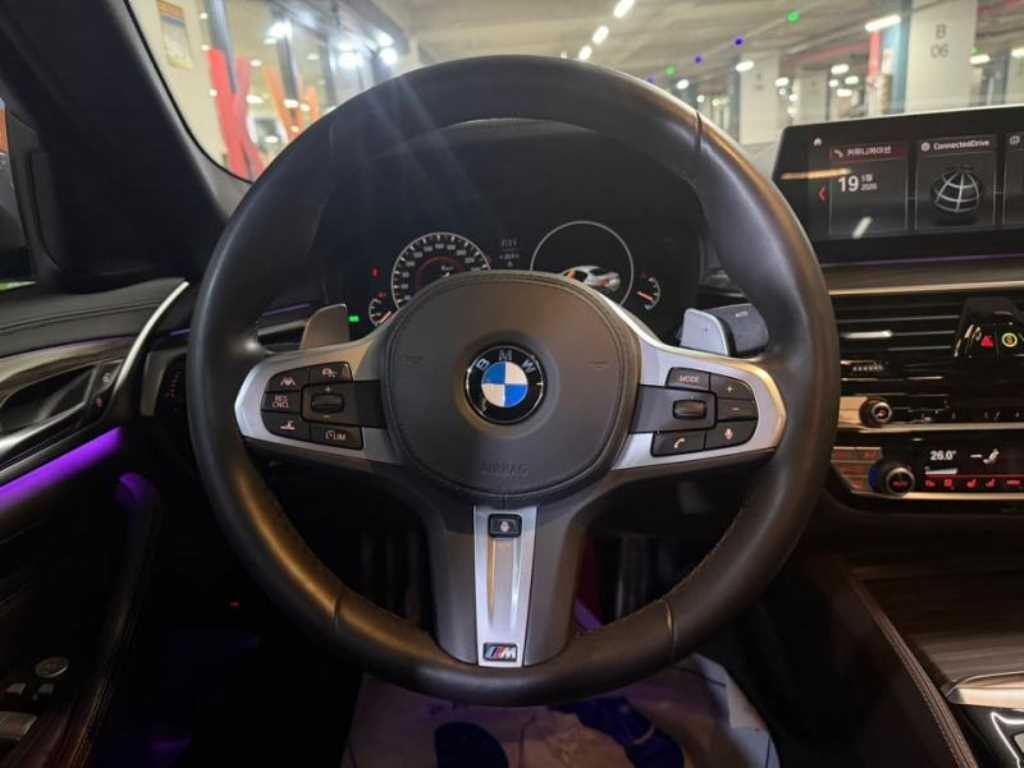 BMW 5시리즈 5시리즈 (G30) 530i M 스포츠 플러스 이미지 8
