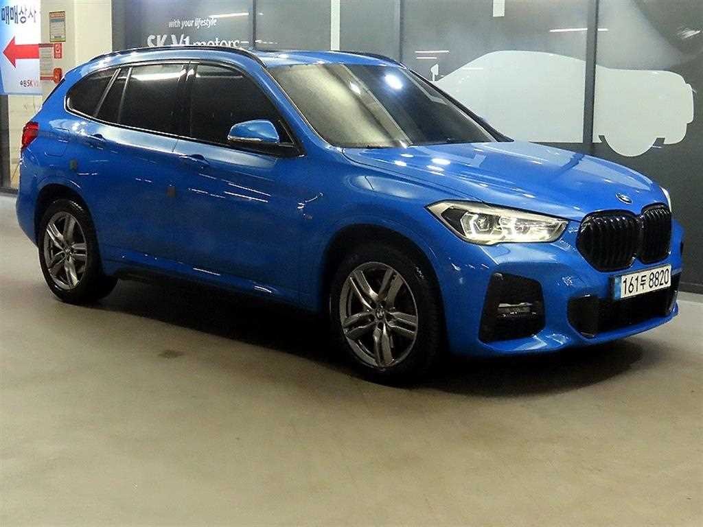 BMW X1 X1 (F48) xDrive 20i M 스포츠 이미지 1