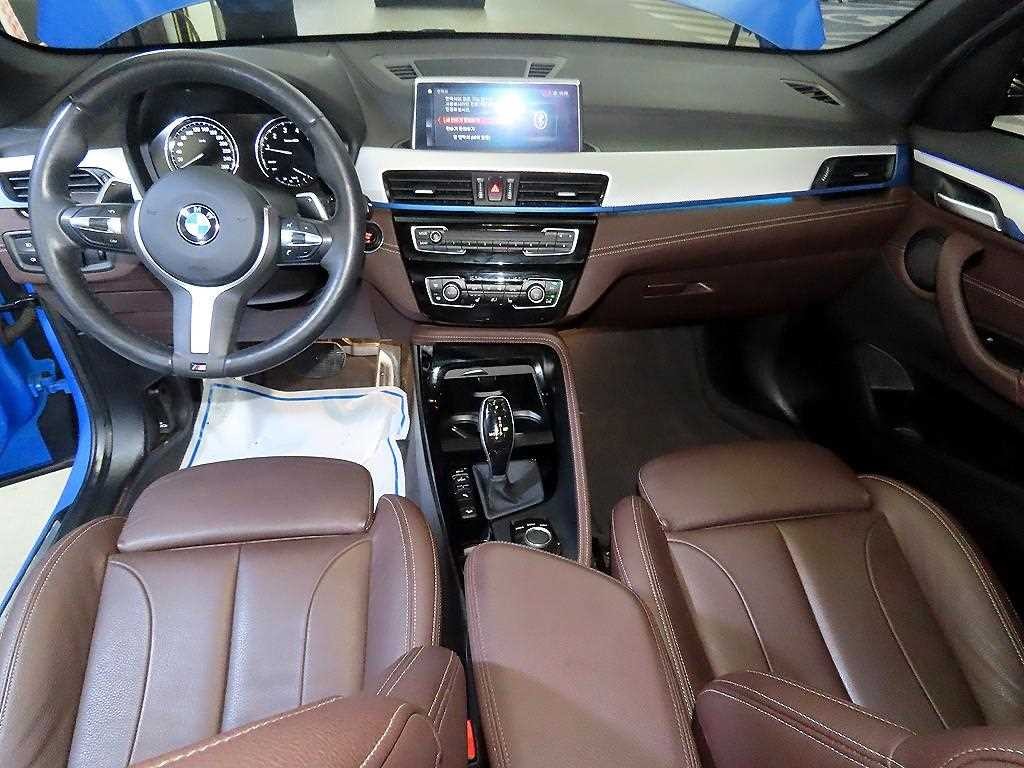 BMW X1 X1 (F48) xDrive 20i M 스포츠 이미지 10