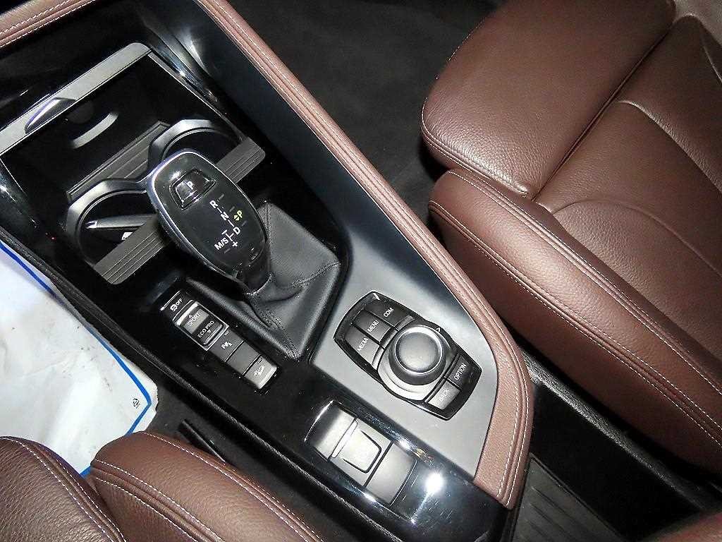 BMW X1 X1 (F48) xDrive 20i M 스포츠 이미지 12