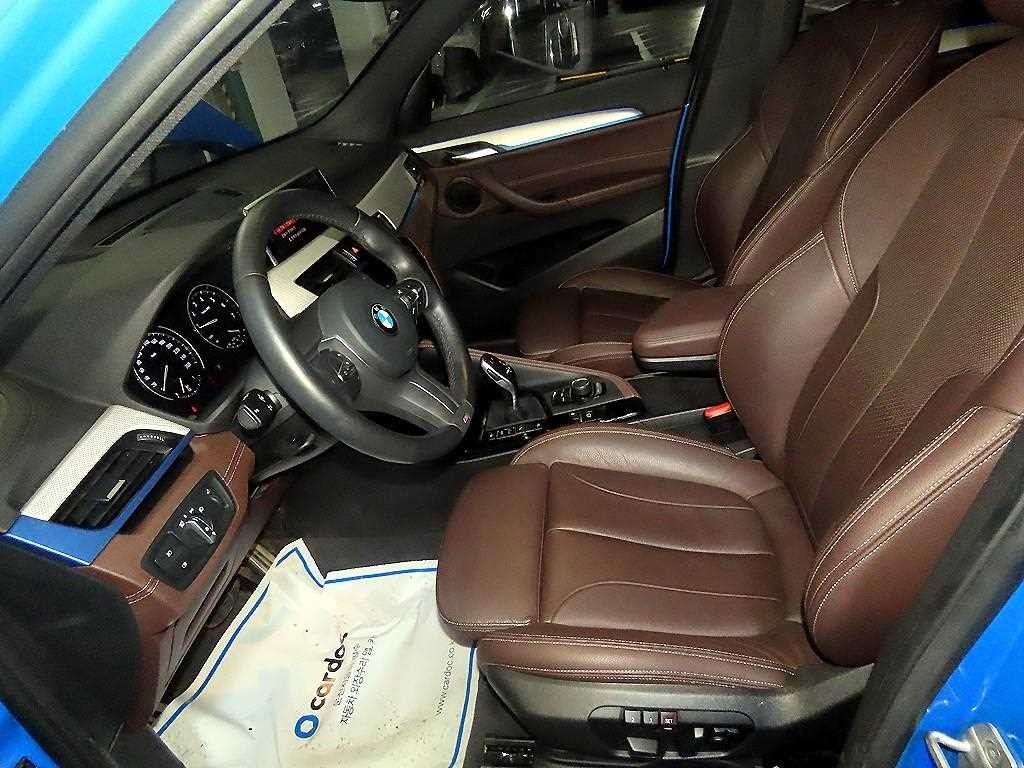 BMW X1 X1 (F48) xDrive 20i M 스포츠 이미지 6