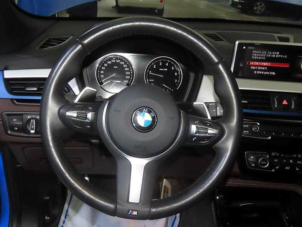 BMW X1 X1 (F48) xDrive 20i M 스포츠 이미지 8