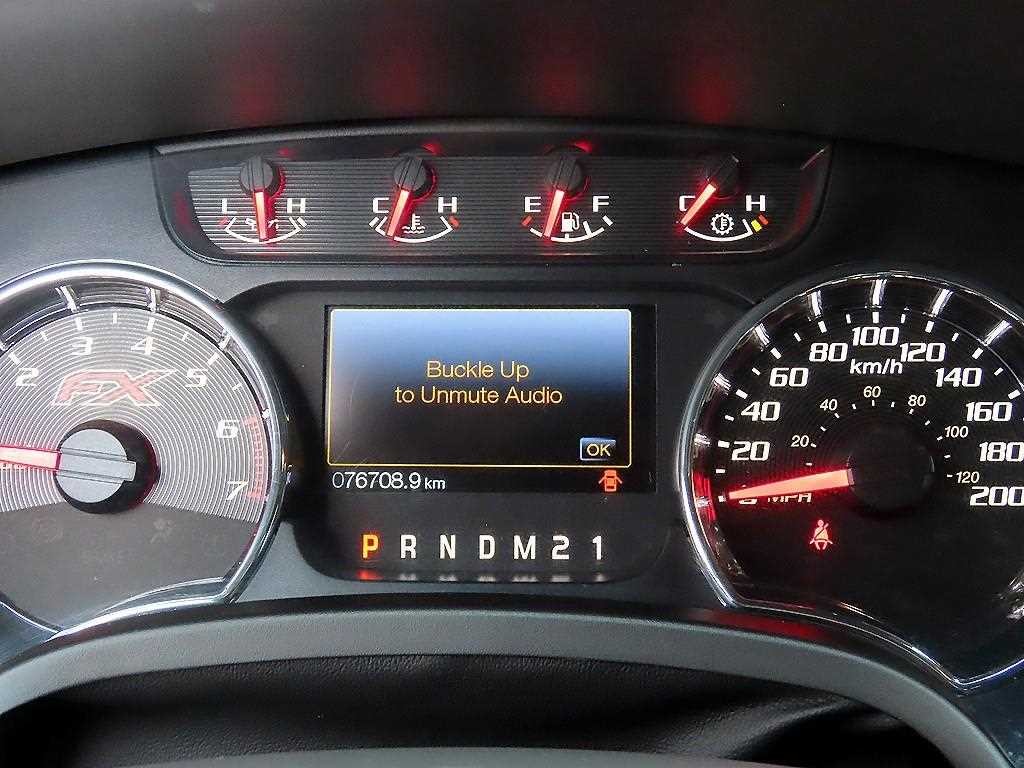 포드 F-Series F150 5.0L 이미지 10