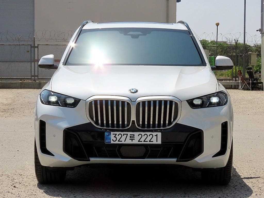 BMW X5 X5 (G05) xDrive 40i M 스포츠 이미지 1