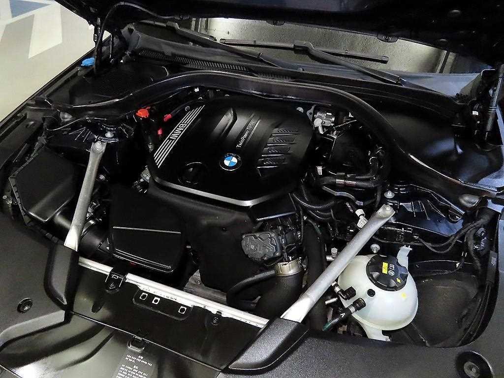 BMW 5시리즈 5시리즈 (G30) 520d 럭셔리 플러스 이미지 19