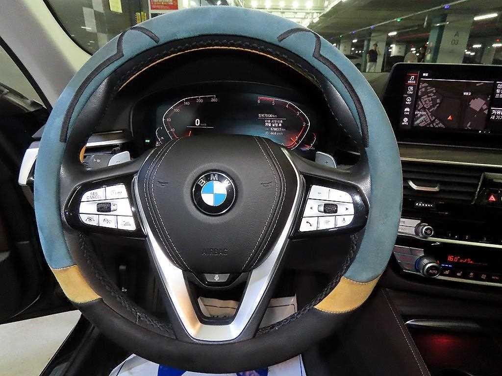 BMW 5시리즈 5시리즈 (G30) 520d 럭셔리 플러스 이미지 8