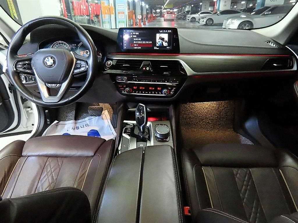 BMW 5시리즈 5시리즈 (G30) 520d xDrive 럭셔리 플러스 이미지 10