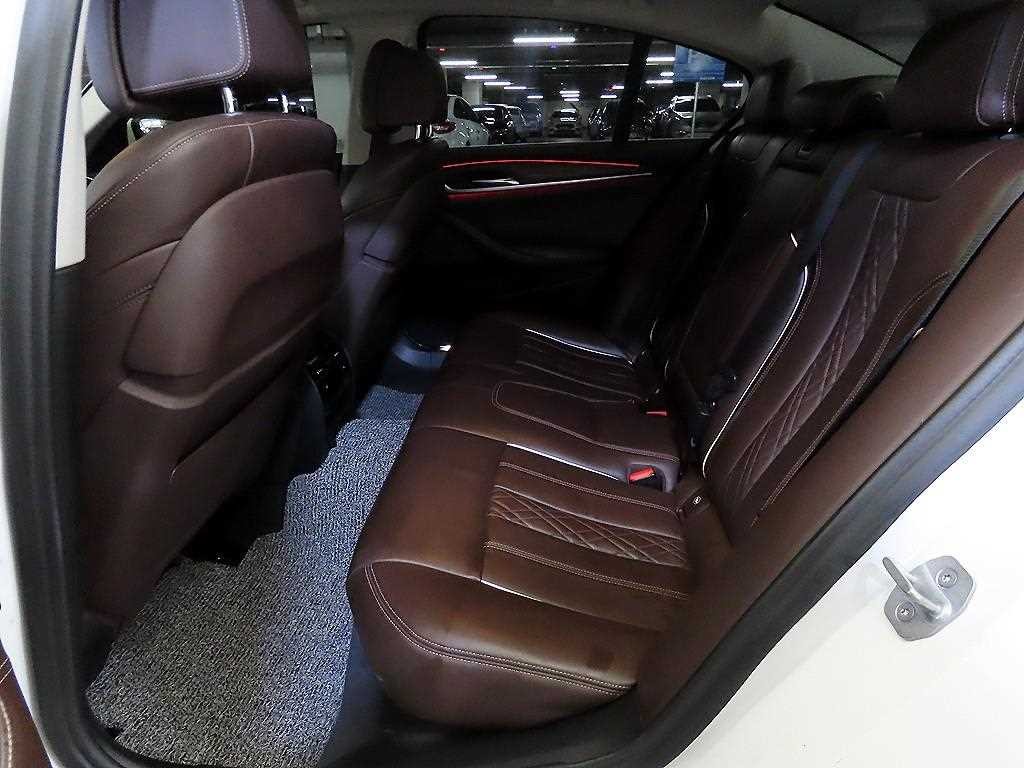 BMW 5시리즈 5시리즈 (G30) 520d xDrive 럭셔리 플러스 이미지 7