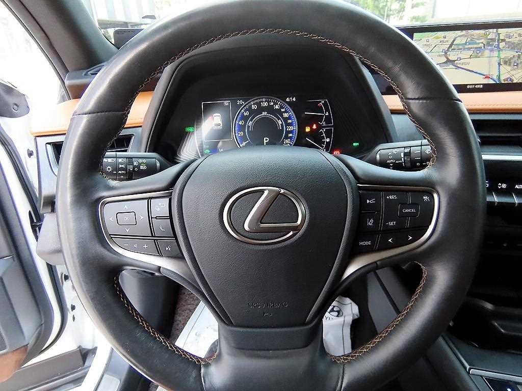 렉서스 UX UX 250h 2.0 AWD 이미지 8