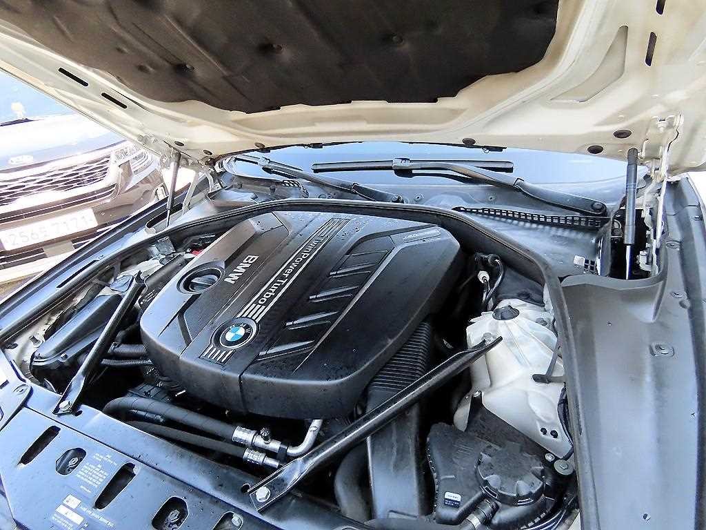 BMW 5시리즈 5시리즈 (F10) 520d 이미지 19