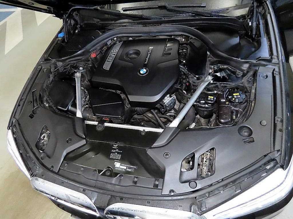 BMW 5시리즈 5시리즈 (G30) 530i xDrive 럭셔리 플러스 이미지 19