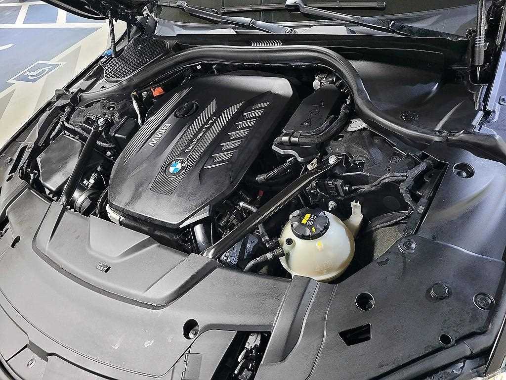 BMW 7시리즈 7시리즈 (G11) 730Ld xDrive M 스포츠 이미지 19