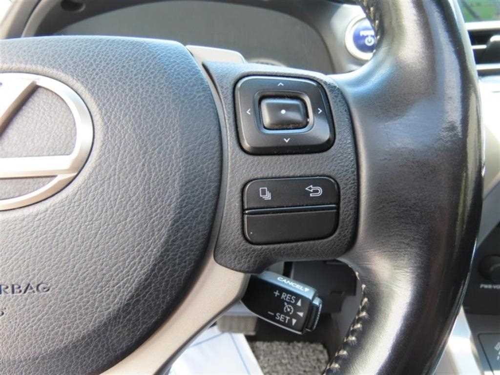 렉서스 NX NX 300h 이그제큐티브 이미지 11