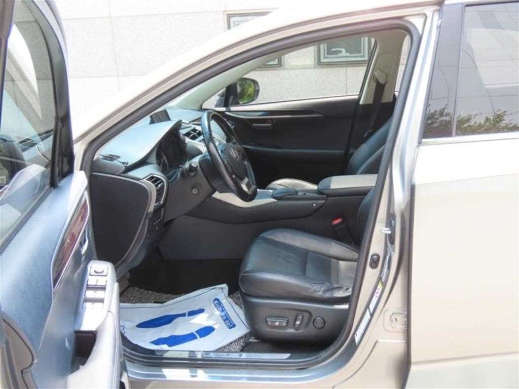 렉서스 NX NX 300h 이그제큐티브 이미지 13