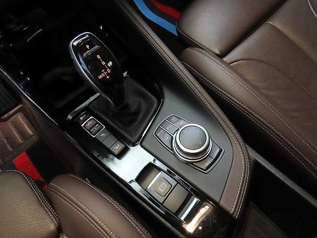 BMW X1 X1 (F48) xDrive 20i M 스포츠 이미지 12