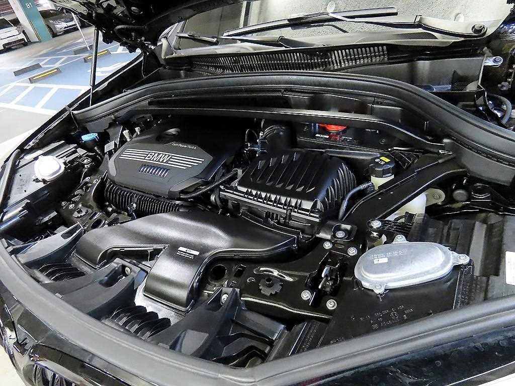 BMW X1 X1 (F48) xDrive 20i M 스포츠 이미지 19