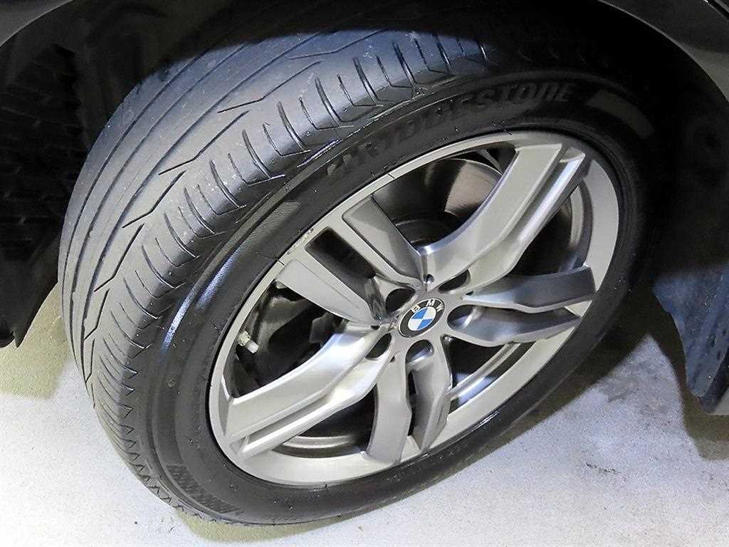 BMW X1 X1 (F48) xDrive 20i M 스포츠 이미지 20