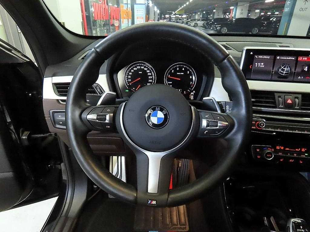 BMW X1 X1 (F48) xDrive 20i M 스포츠 이미지 8
