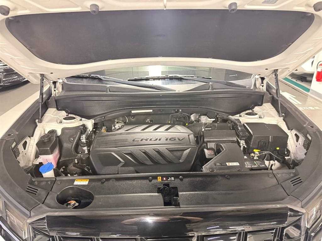 현대 팰리세이드 더 뉴 팰리세이드 디젤 2.2 2WD 익스클루시브 이미지 5